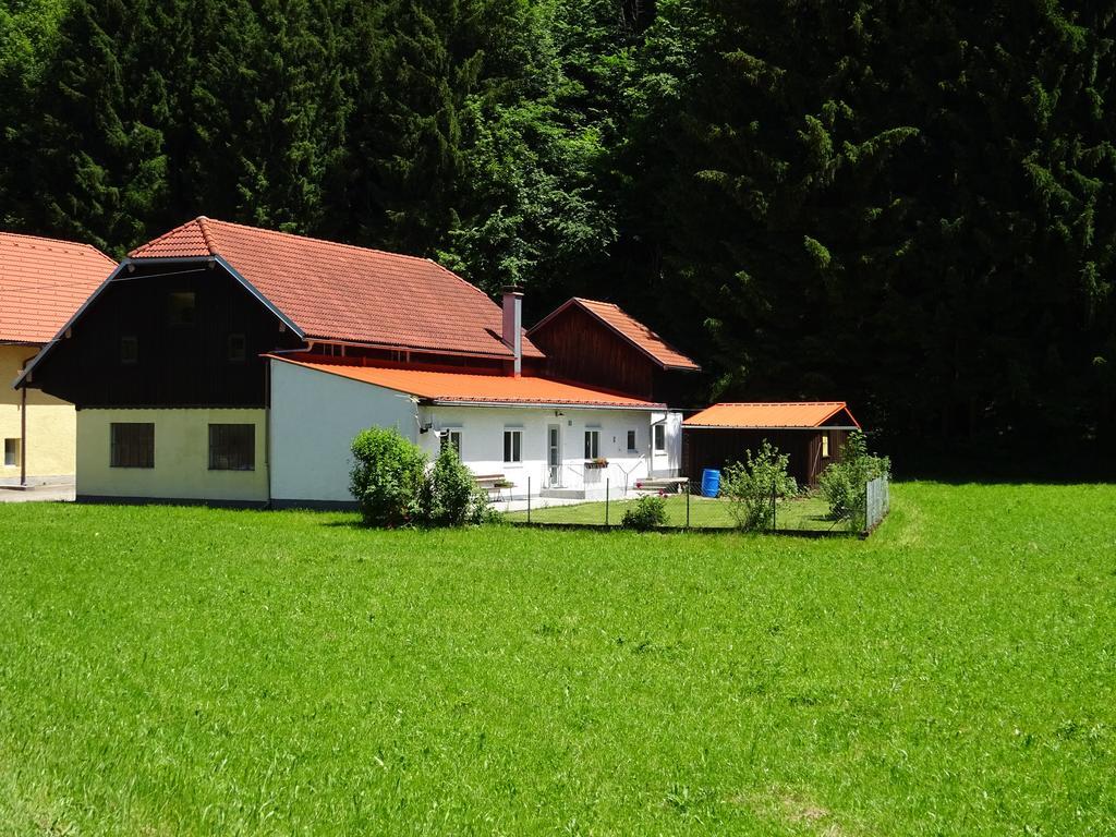 Haus Im Gruenen - Gmundennaehe بنسدورف المظهر الخارجي الصورة